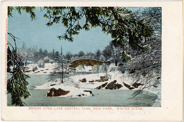 Bridge over Lake Central Park Winter Scene New York City Vintage Postcard c. 1900s