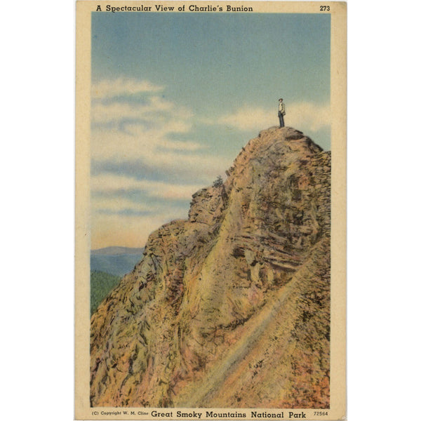 Charlie's Bunion Smoky Mountains National Park Vintage Postcard c. 1930s