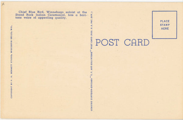 Chief Blue Bird Wisconsin Dells Vintage Native American Postcard (unposted)
