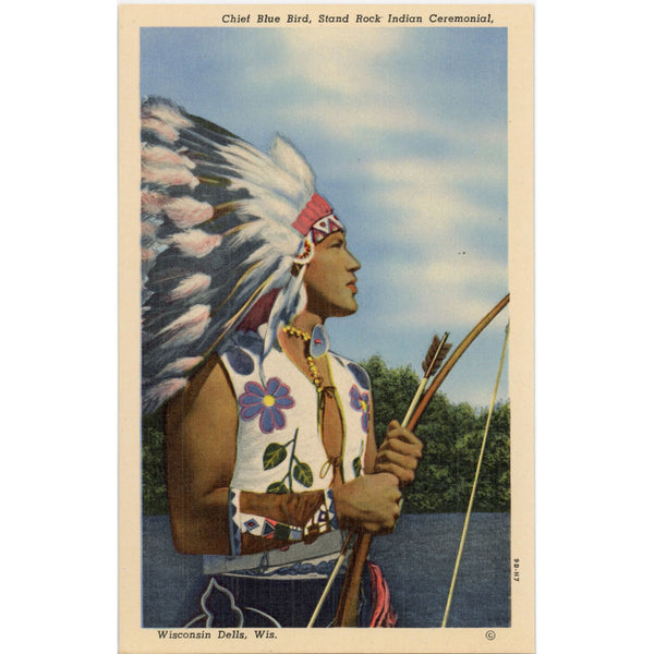 Chief Blue Bird Wisconsin Dells Vintage Native American Postcard (unposted)