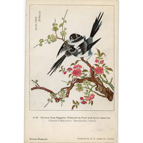 Chinese Blue Magpies Blossoming Plum Tree Vintage Bird Postcard (unused)