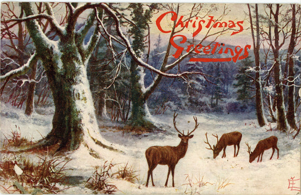 Vintage Tuck's Christmas Postcard Deer in Snowy Forest 1910s (unused) - Vintage Postcard Boutique