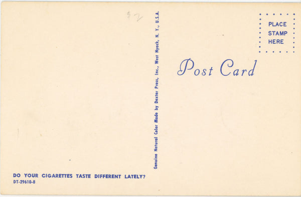 Do Your Cigarettes Taste Different Vintage Comic Dog Postcard (unposted) - Vintage Postcard Boutique