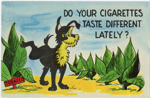 Do Your Cigarettes Taste Different Vintage Comic Dog Postcard (unposted) - Vintage Postcard Boutique