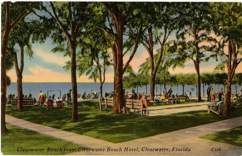 Clearwater Beach Tampa Bay Florida Vintage Postcard 1958
