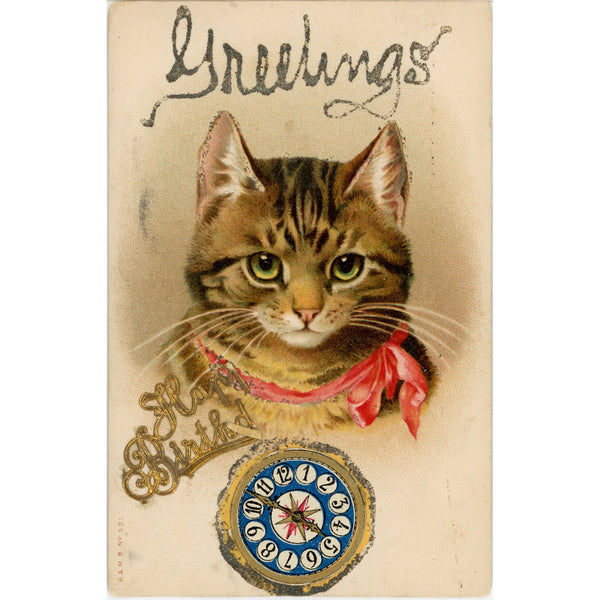 Glitter Embossed  Cat w/ Clock Birthday Greetings Vintage Postcard 1909