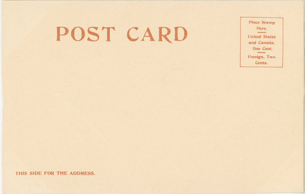 Cluster of Oranges Vintage Botanical Fruit Postcard undivided back 1903 (unposted)