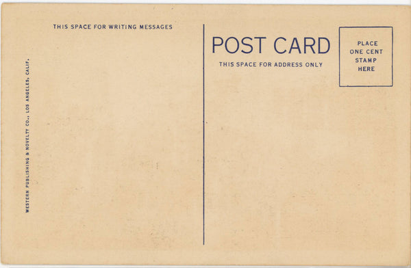 San Francisco Coit Tower Telegraph Hill California Vintage Postcard (unposted)