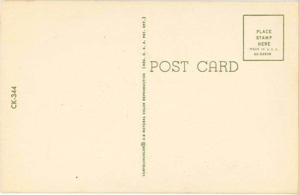 Collie Lovable Friend Vintage Dog Postcard (unused)