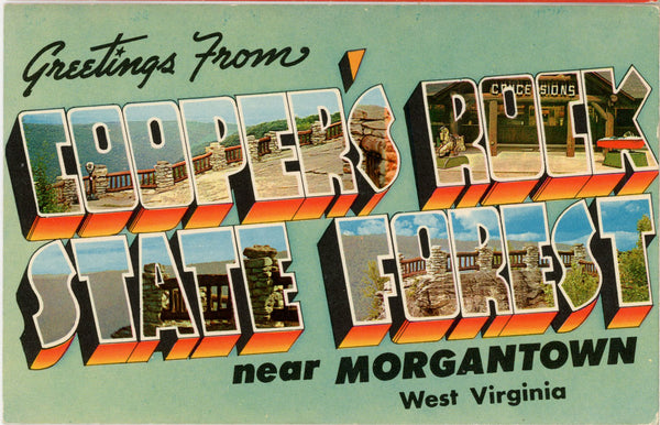 Cooper's Rock State Forest West Virginia Large Letter Vintage Postcard (unused)