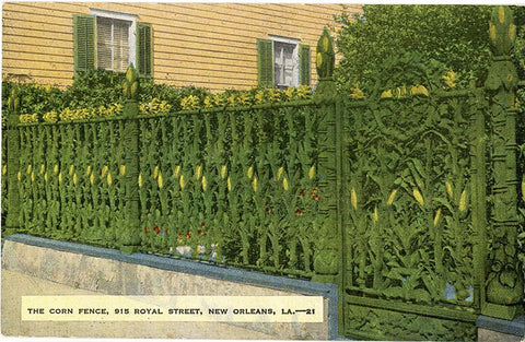 New Orleans Louisiana Corn Fence Royal Street French Quarter Vintage Postcard (unused)