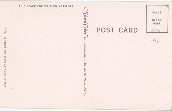 Danbury Fair Connecticut Large Letter Vintage Postcard (unused)