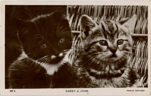 Darby & Joan Kittens Cats RPPC Vintage Postcard 1908