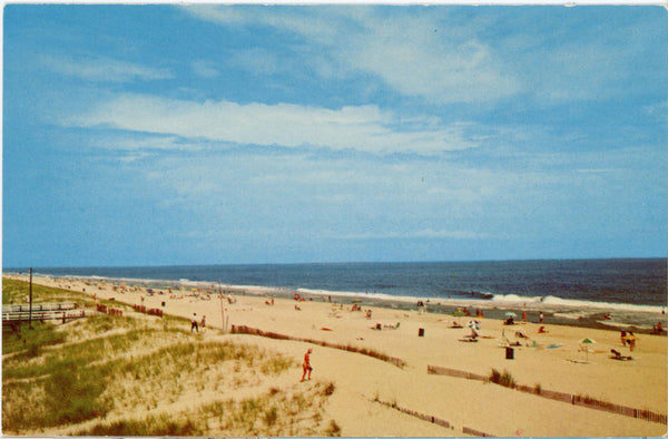 Rehoboth Beach & Surf Delaware Vintage Postcard (unused)