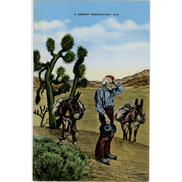 Desert Prospector Vintage Western Postcard c. 1940s (unposted) - Vintage Postcard Boutique