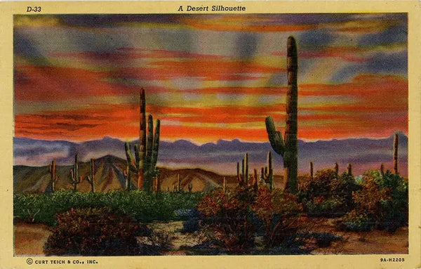 Desert Cacti Silhouettes at Sunset Southwest Botanical Vintage Postcard (unused) - Vintage Postcard Boutique