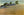 Southwest Desert Washboard Vintage Botanical Postcard (unused)
