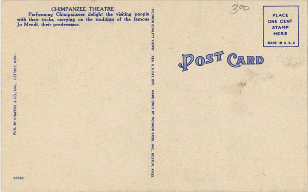Dressed Chimpanzees Roller Skating Detroit Michigan Zoological Park Vintage Postcard (unused)