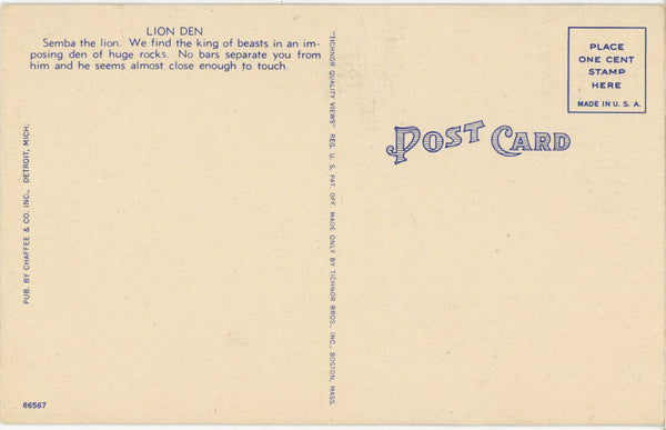 Zoological Park Lion Den Detroit Michigan Vintage Postcard (unposted)
