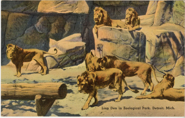 Zoological Park Lion Den Detroit Michigan Vintage Postcard (unposted)