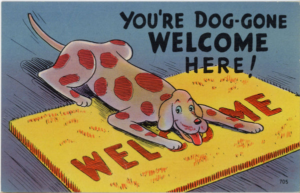 Dog-Gone Welcome Here Comic Vintage Postcard (unposted)
