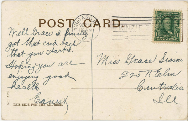Rustic Farm Scene Donkeys Rooster Hen Vintage Postcard 1908