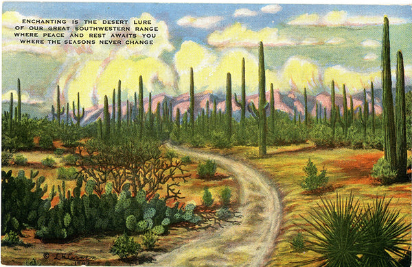 Vintage Western Postcard - Desert Lure - Cowboy Artist Signed L. H. "Dude" Larsen (unused) - Vintage Postcard Boutique