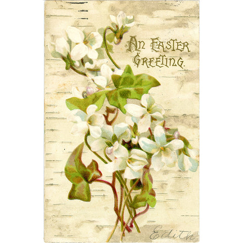 Easter Greetings Vintage Botanical Postcard Embossed 1900s