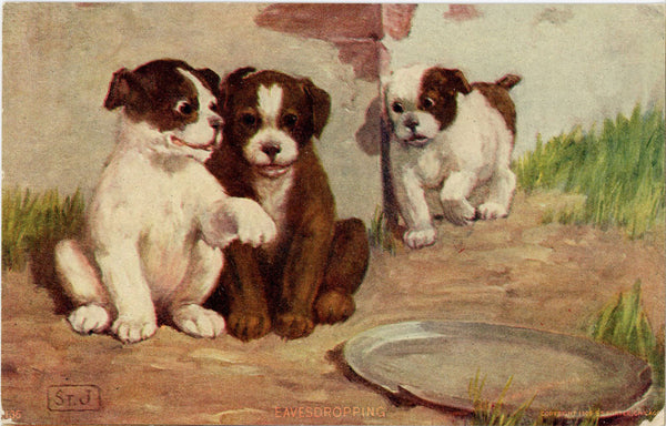 Eavesdropping Puppies Vintage Dog Postcard signed ST JOHN 1906