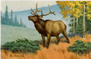 Vintage Wildlife Postcard Elk Signed by AL KREML 1958 (unposted) - Vintage Postcard Boutique
