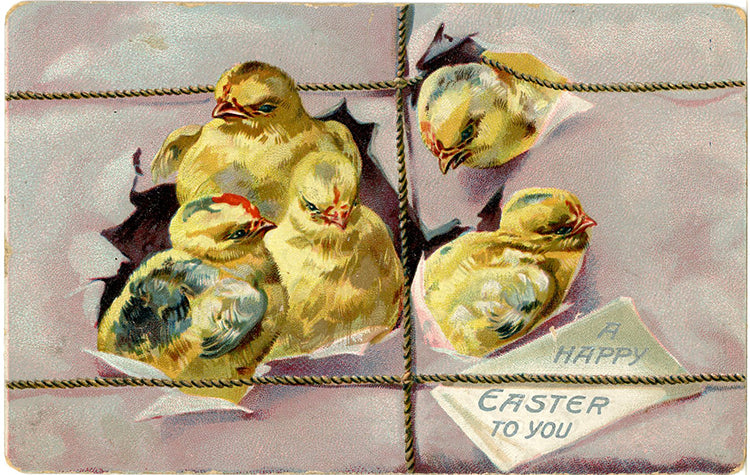 Vintage Embossed Easter Postcard Chicks TUCK'S 1910s