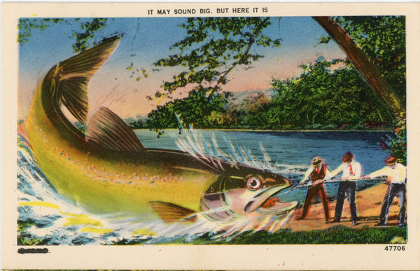 Vintage Fish Exaggeration Postcard It May Sound Big 1940s (unposted)