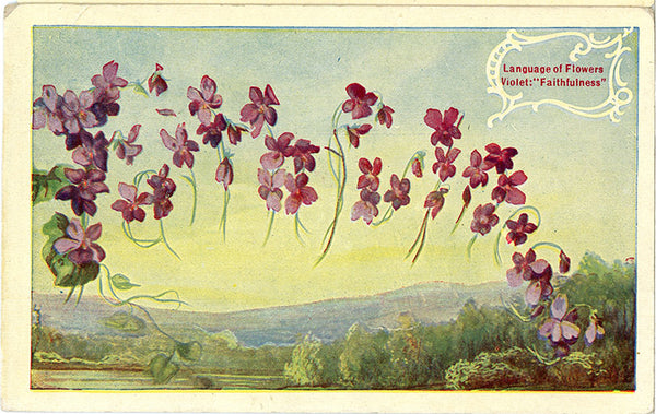 Language of Flowers Violet "Faithfulness" Vintage Botanical Postcard 1909 - Vintage Postcard Boutique