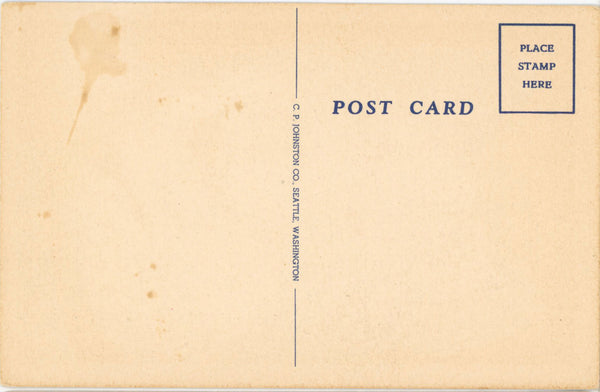 Famous Alaska Siberian Husky Dog Vintage Postcard (unposted)