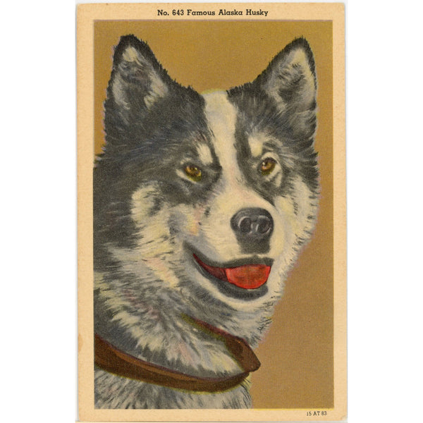Famous Alaska Siberian Husky Dog Vintage Postcard (unposted)