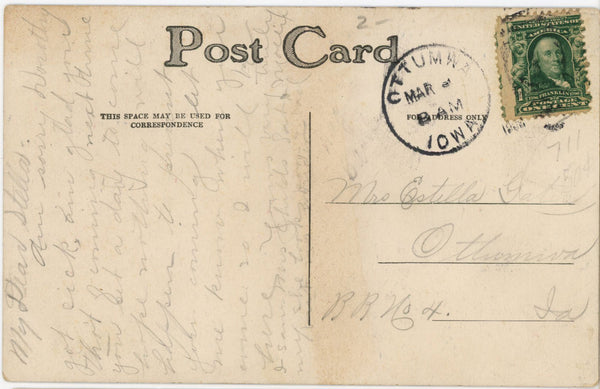 Jack Russell Terrier Father & Son Vintage Dog Postcard 1908