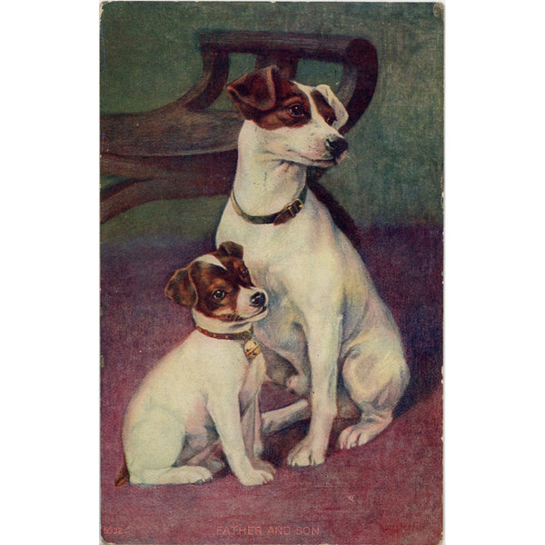 Jack Russell Terrier Father & Son Vintage Dog Postcard 1908