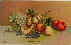 Favorite Fruits Still Life Vintage Botanical Art Postcard c. 1910s (unposted) - Vintage Postcard Boutique