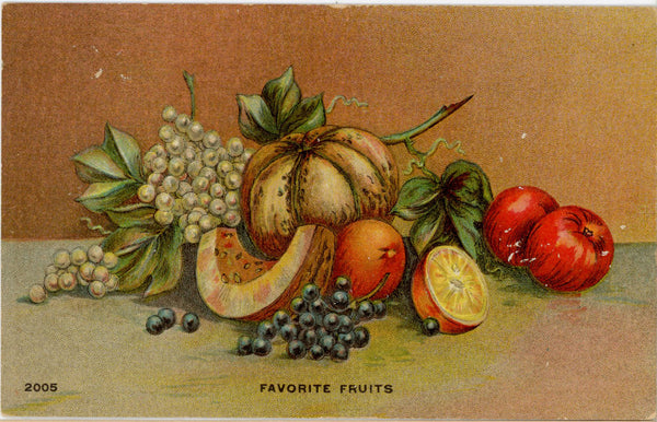 Favorite Fruits Still Life Vintage Botanical Art Postcard c. 1910s (unposted)