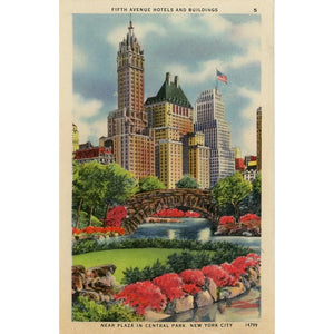Fifth Avenue Hotels Near Plaza Central Park New York City NYC Vintage Postcard (unused) - Vintage Postcard Boutique