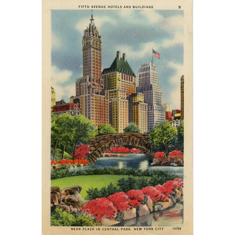 Fifth Avenue Hotels Near Plaza Central Park New York City NYC Vintage Postcard (unused)
