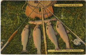 Fisherman's Luck is Great in Maine Vintage Fishing Angler Postcard 1940 - Vintage Postcard Boutique