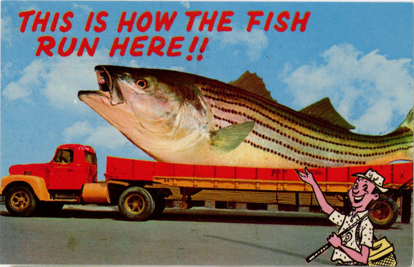 Fish on Flatbed Truck Exaggeration Missouri Vintage Postcard (unposted)