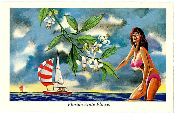 Florida State Flower - Orange Blossom Vintage Botanical Postcard Signed Artist Ken Haag (unused) - Vintage Postcard Boutique