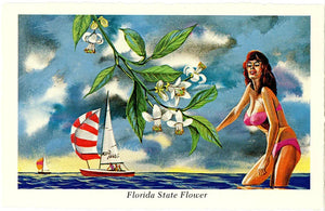 Florida State Flower - Orange Blossom Vintage Botanical Postcard Signed Artist Ken Haag (unused)