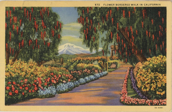 California Flower Bordered Walk Vintage Botanical Postcard 1940s