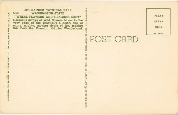 Where Flowers & Glaciers Meet Rainier National Park Washington Vintage Postcard c. 1950s