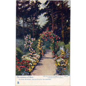 Vintage Tuck's Oilette Botanical Postcard Gardens of Kent Flower Border 1910s (unused) - Vintage Postcard Boutique