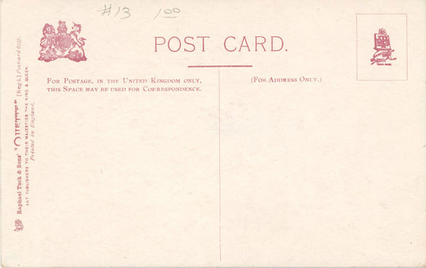 Tuck's Oilette Gardens of Kent Capel Manor Botanical Vintage Postcard 1910s (unused) - Vintage Postcard Boutique