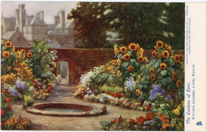 Gardens of Kent Kitchen Garden Vintage Tuck's Oilette Botanical Postcard 1910s (unused) - Vintage Postcard Boutique
